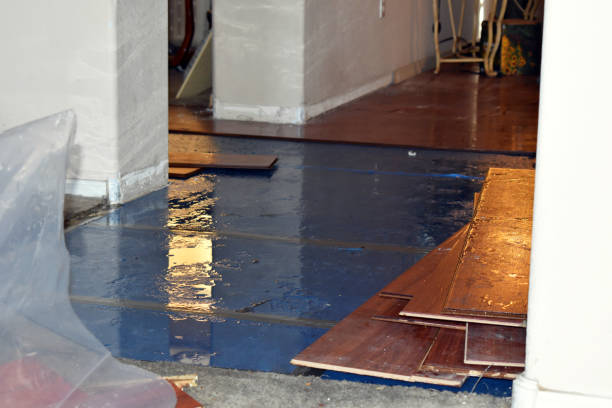 Professional Burst Pipe Cleanup technician working in Dunlevy, PA